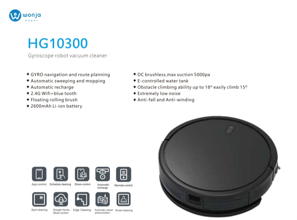 HG10300
